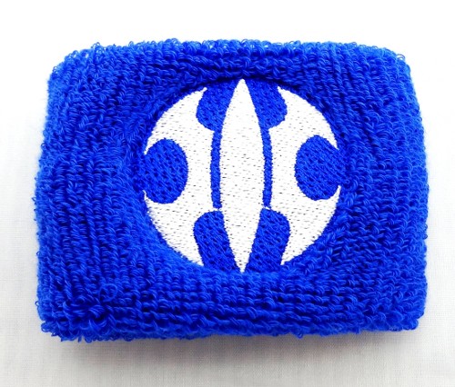 File:Wristband Aqua.jpg