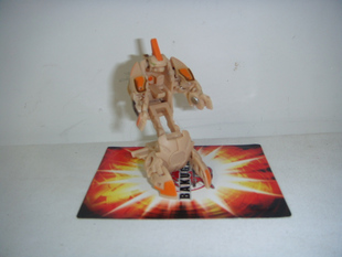 File:T1VR4tXc0wXXbRDf.5 055651.jpg 310x310.jpg