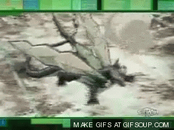 File:Gundalzvideo.gif