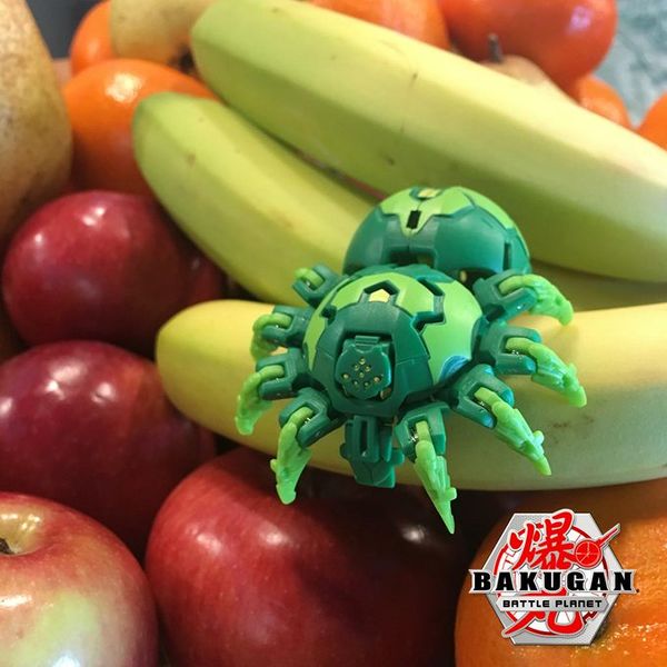 File:Ventus Webam fruit.jpg