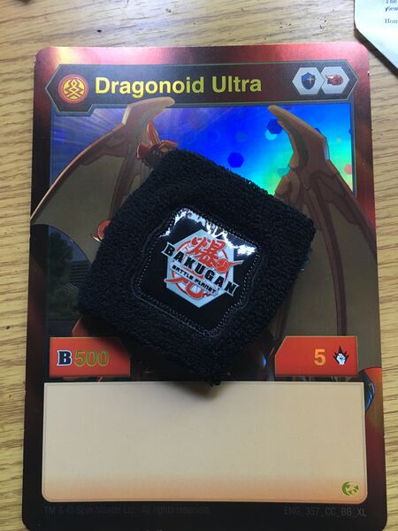 File:BBP Demo Armband.JPG