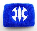 Wristband Aqua.jpg