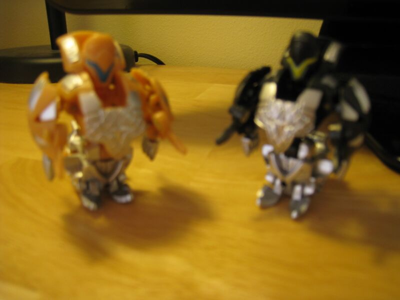 File:MustInamethis 003.JPG