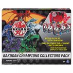 Champions Collector Box.jpg
