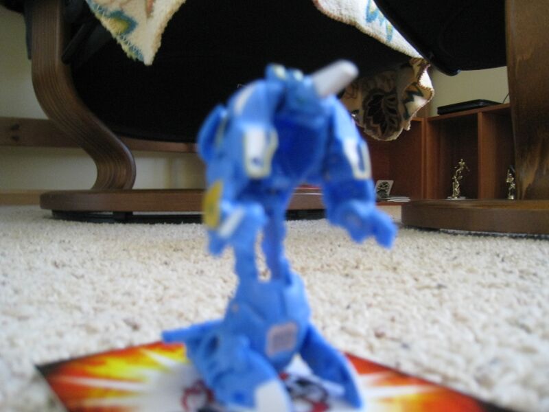 File:BlueGoldContestir 009.JPG