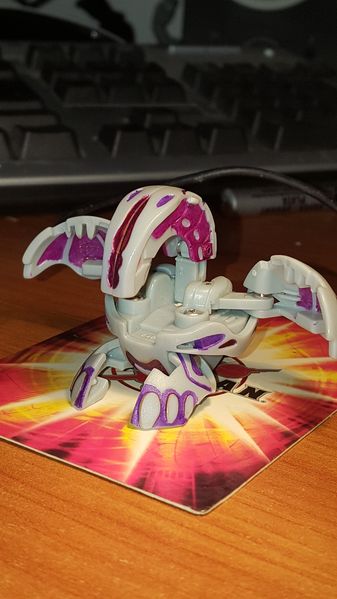 File:20180408 193845.jpg