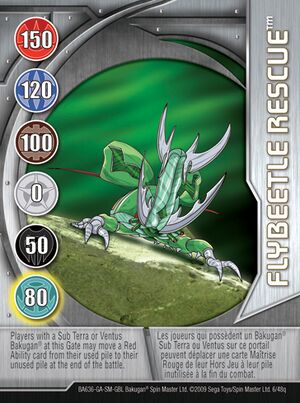 6q Flybeetle Rescue.jpg